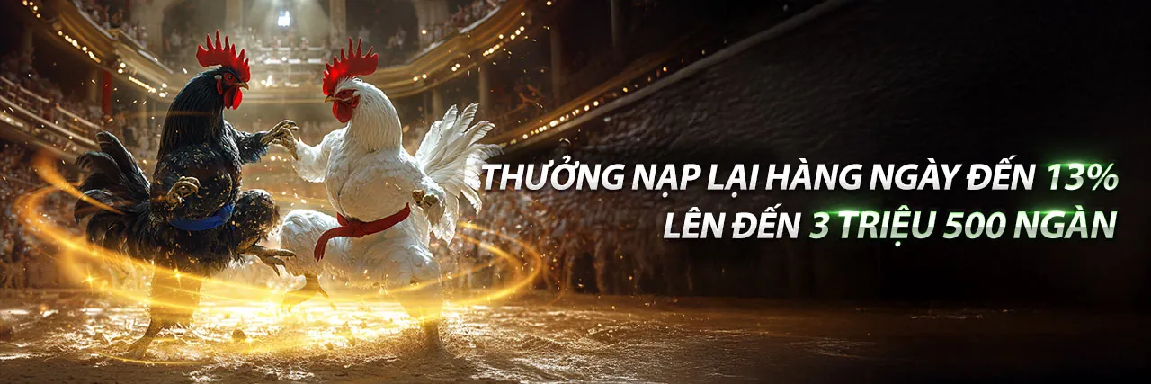 Sân đấu đá gà trực tuyến kịch tính tại alo8